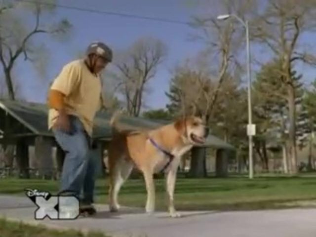 image calvin tyco life ruff disney channel