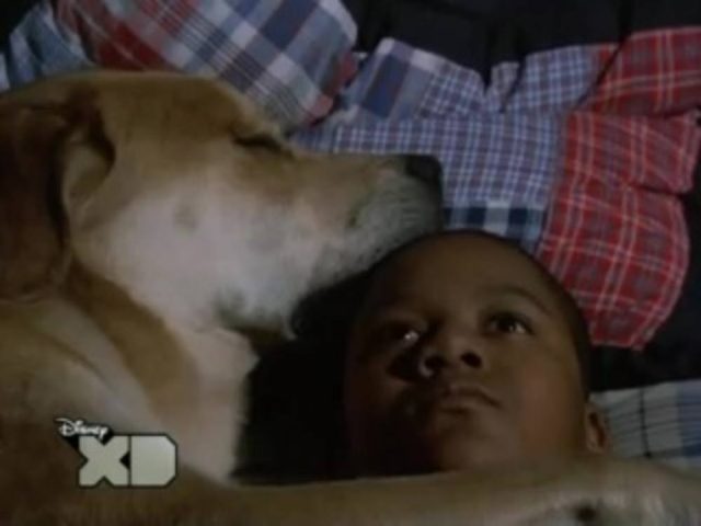 image calvin tyco life ruff disney channel
