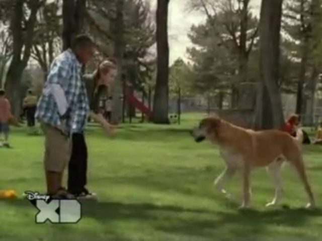 image calvin tyco life ruff disney channel