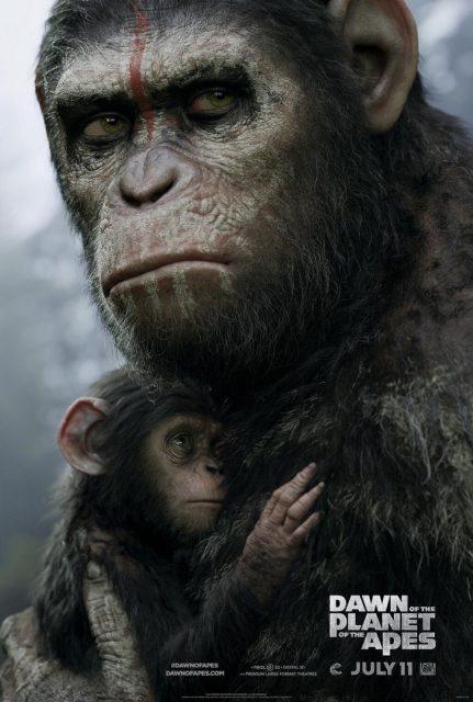 La planète des singes : l'affrontement - Photos et affiches. 4 affiche poster planète singes affrontement daw planet apes disney fox