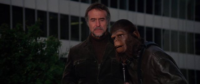 La conquête de la planète des singes. 5 Roddy McDowall et Hari Rhodes dans La conquête de la planète des singes Conquest of the Planet of the Apes 1972