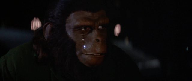 La conquête de la planète des singes - Photos et affiches. 18 image conquête conquest planète singes planet apes disney fox