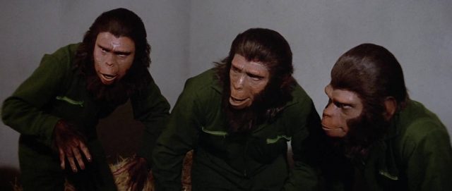 La conquête de la planète des singes - Photos et affiches. 5 image conquête conquest planète singes planet apes disney fox