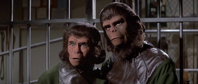 Les évadés de la planète des singes. 3 Roddy McDowall et Kim Hunter dans Les évadés de la planète des singes Escape from the Planet of the Apes 1971