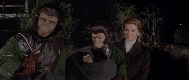 Les évadés de la planète des singes. 9 Roddy McDowall et Kim Hunter dans Les évadés de la planète des singes Escape from the Planet of the Apes 1971