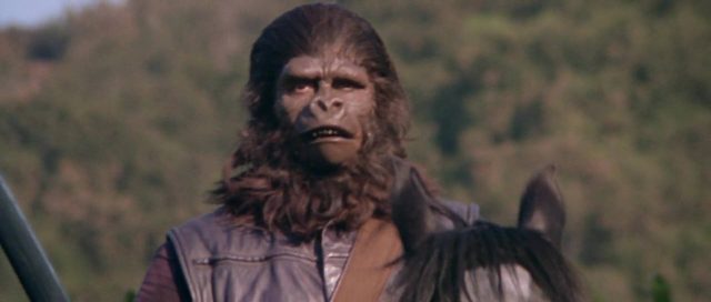 La planète des singes - Photos et affiches. 16 image planète singes planet apes disney fox
