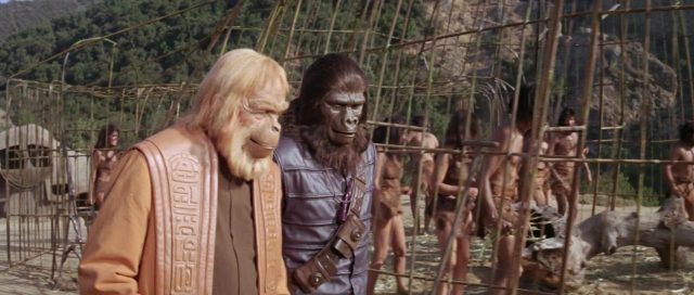 La planète des singes - Photos et affiches. 21 image planète singes planet apes disney fox