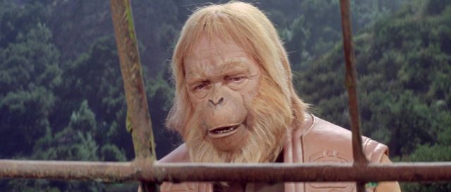 La planète des singes. 13 Charlton Heston et Kim Hunter dans La planète des singes Planet of the Apes 1968