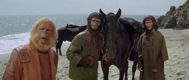 La planète des singes - Photos et affiches. 13 image planète singes planet apes disney fox