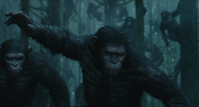 La planète des singes : l'affrontement - Photos et affiches. 11 image planète singes affrontement daw planet apes disney fox