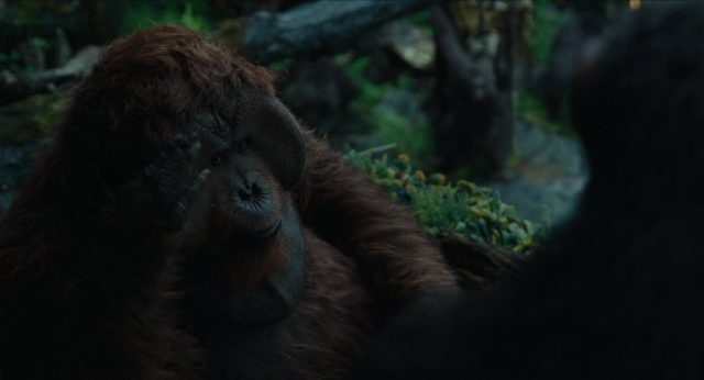 La planète des singes : l'affrontement - Photos et affiches. 12 image planète singes affrontement daw planet apes disney fox