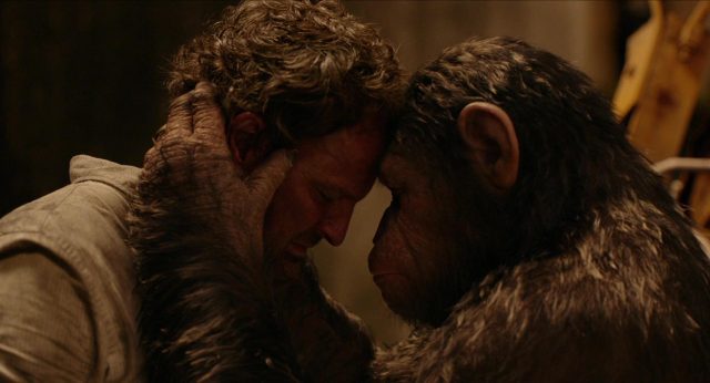 La planète des singes : l'affrontement - Photos et affiches. 13 image planète singes affrontement daw planet apes disney fox