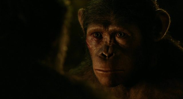 La planète des singes : l'affrontement - Photos et affiches. 14 image planète singes affrontement daw planet apes disney fox