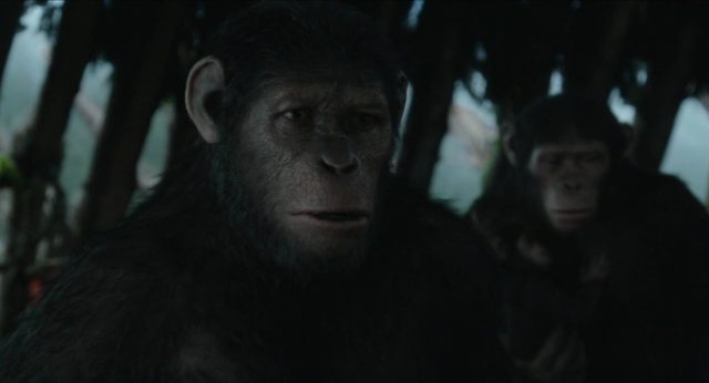 La planète des singes : l'affrontement - Photos et affiches. 15 image planète singes affrontement daw planet apes disney fox
