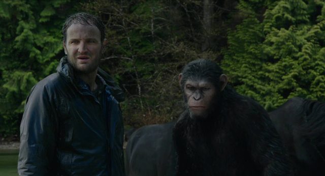 La planète des singes : l'affrontement - Photos et affiches. 16 image planète singes affrontement daw planet apes disney fox