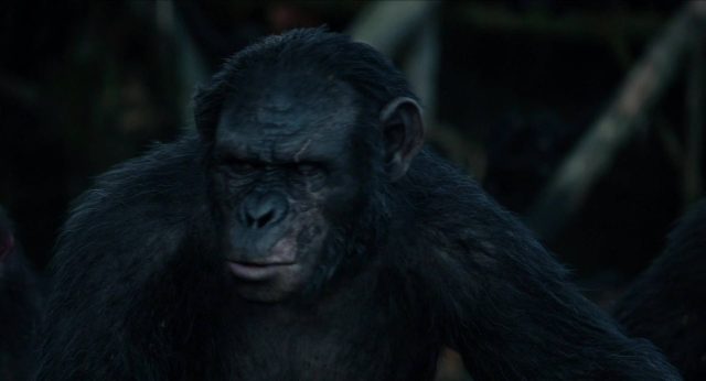 La planète des singes : l'affrontement - Photos et affiches. 20 image planète singes affrontement daw planet apes disney fox