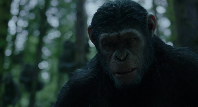 La planète des singes : l'affrontement - Photos et affiches. 21 image planète singes affrontement daw planet apes disney fox