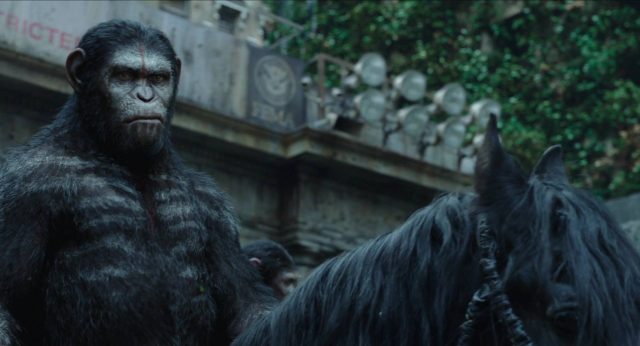 La planète des singes : l'affrontement - Photos et affiches. 23 image planète singes affrontement daw planet apes disney fox
