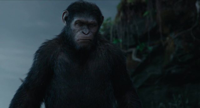 La planète des singes : l'affrontement - Photos et affiches. 24 image planète singes affrontement daw planet apes disney fox
