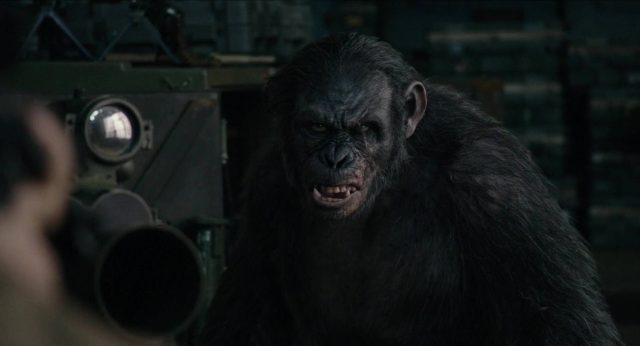 La planète des singes : l'affrontement - Photos et affiches. 29 image planète singes affrontement daw planet apes disney fox