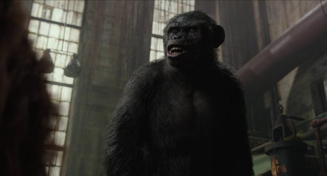La planète des singes : l'affrontement - Photos et affiches. 30 image planète singes affrontement daw planet apes disney fox