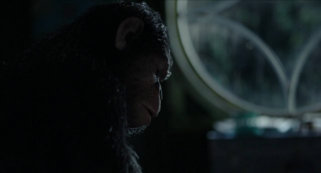 La planète des singes : l'affrontement - Photos et affiches. 33 image planète singes affrontement daw planet apes disney fox