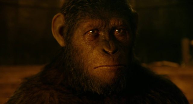 La planète des singes : l'affrontement - Photos et affiches. 34 image planète singes affrontement daw planet apes disney fox