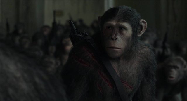 La planète des singes : l'affrontement - Photos et affiches. 36 image planète singes affrontement daw planet apes disney fox