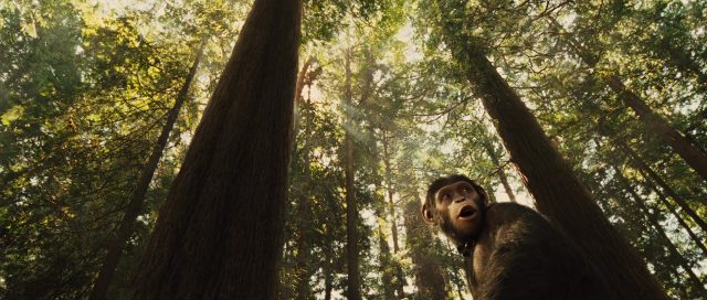 La planète des singes : les origines - Photos et affiches. 15 image planete singes origines rise planet apes disney fox