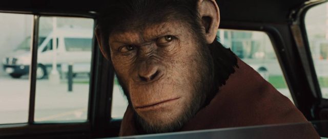 La planète des singes : les origines - Photos et affiches. 19 image planete singes origines rise planet apes disney fox