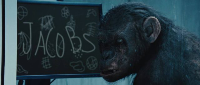 La planète des singes : les origines - Photos et affiches. 26 image planete singes origines rise planet apes disney fox