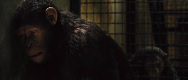 La planète des singes : les origines - Photos et affiches. 27 image planete singes origines rise planet apes disney fox