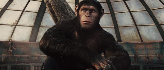 La planète des singes : les origines - Photos et affiches. 28 image planete singes origines rise planet apes disney fox