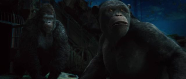 La planète des singes : les origines - Photos et affiches. 30 image planete singes origines rise planet apes disney fox