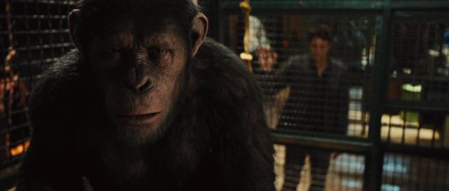 La planète des singes : les origines - Photos et affiches. 32 image planete singes origines rise planet apes disney fox
