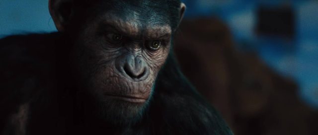 La planète des singes : les origines - Photos et affiches. 35 image planete singes origines rise planet apes disney fox