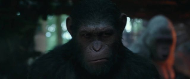 La planète des singes : suprématie - Photos et affiches. 18 image planète singes suprématie planet apes war disney fox