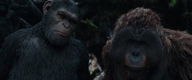 La planète des singes : suprématie - Photos et affiches. 19 image planete singes suprematie 02