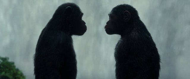 La planète des singes : suprématie - Photos et affiches. 20 image planete singes suprematie 03