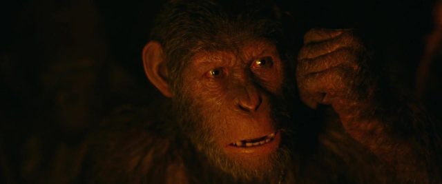 La planète des singes : suprématie - Photos et affiches. 23 image planète singes suprématie planet apes war disney fox