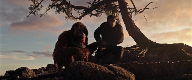 La planète des singes : suprématie - Photos et affiches. 24 image planète singes suprématie planet apes war disney fox
