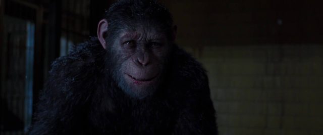 La planète des singes : suprématie - Photos et affiches. 30 image planète singes suprématie planet apes war disney fox