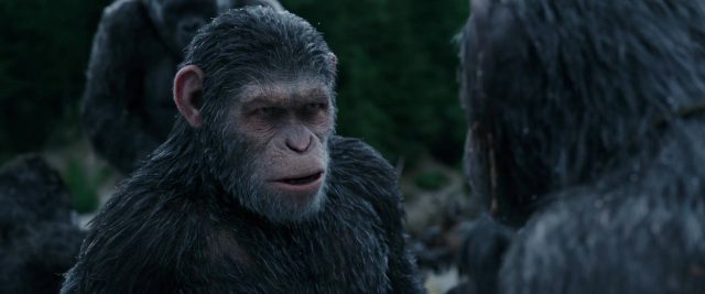 La planète des singes : suprématie - Photos et affiches. 39 image planète singes suprématie planet apes war disney fox