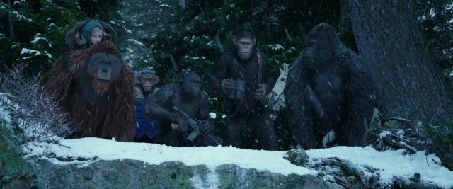 La planète des singes : suprématie - Photos et affiches. 35 image planète singes suprématie planet apes war disney fox
