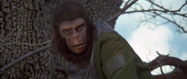 La bataille de la planète des singes - Photos et affiches. 13 image bataille planète singes battle planet apes disney fox