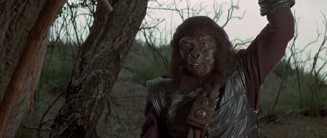 La bataille de la planète des singes - Photos et affiches. 16 image bataille planète singes battle planet apes disney fox