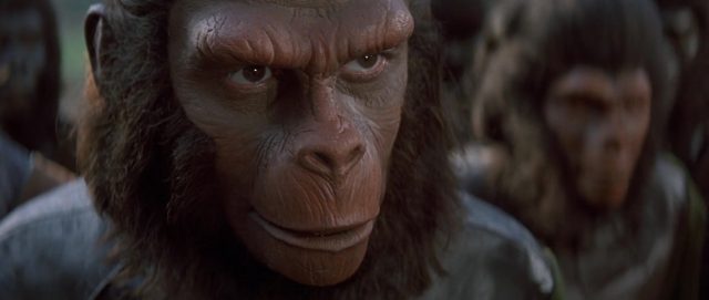 Les répliques cultes du film La bataille de la planète des singes. 4 replique quote bataille planète singes battle planet apes disney fox