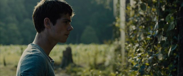 Le labyrinthe - Photos et affiches. 27 image labyrinthe maze runner disney fox