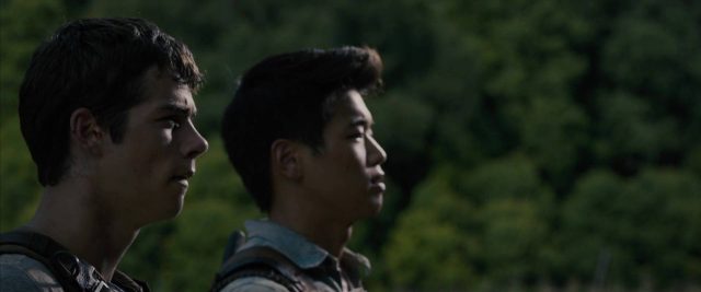 Le labyrinthe - Photos et affiches. 33 image labyrinthe maze runner disney fox
