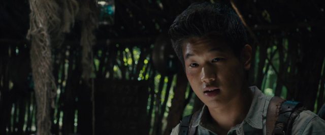 Le labyrinthe - Photos et affiches. 36 image labyrinthe maze runner disney fox